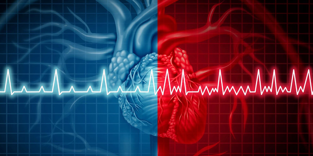 تپش قلب نرمال