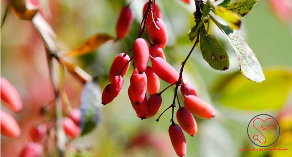 آب‌زرشک برای بهبود سلامت عروق