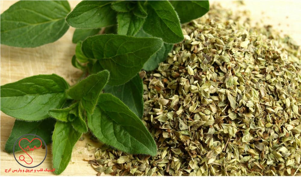 پونه کوهی برای کاهش فشارخون